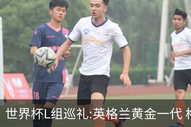 世界杯L组巡礼:英格兰黄金一代 格子老将谢幕礼